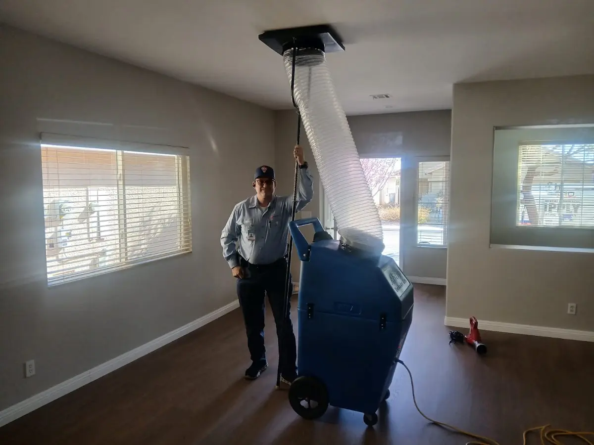 Professional Dryer Vent Cleaning work inside a Wyndham home